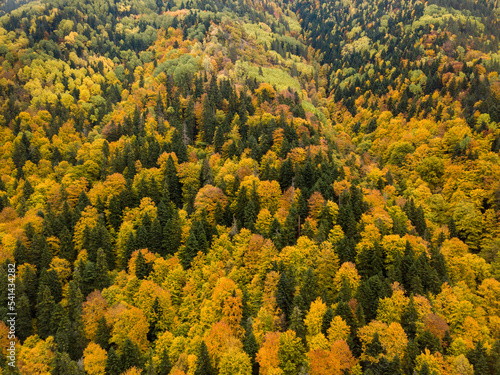 Autumn time in Bulgaria, mountains, Drone view 