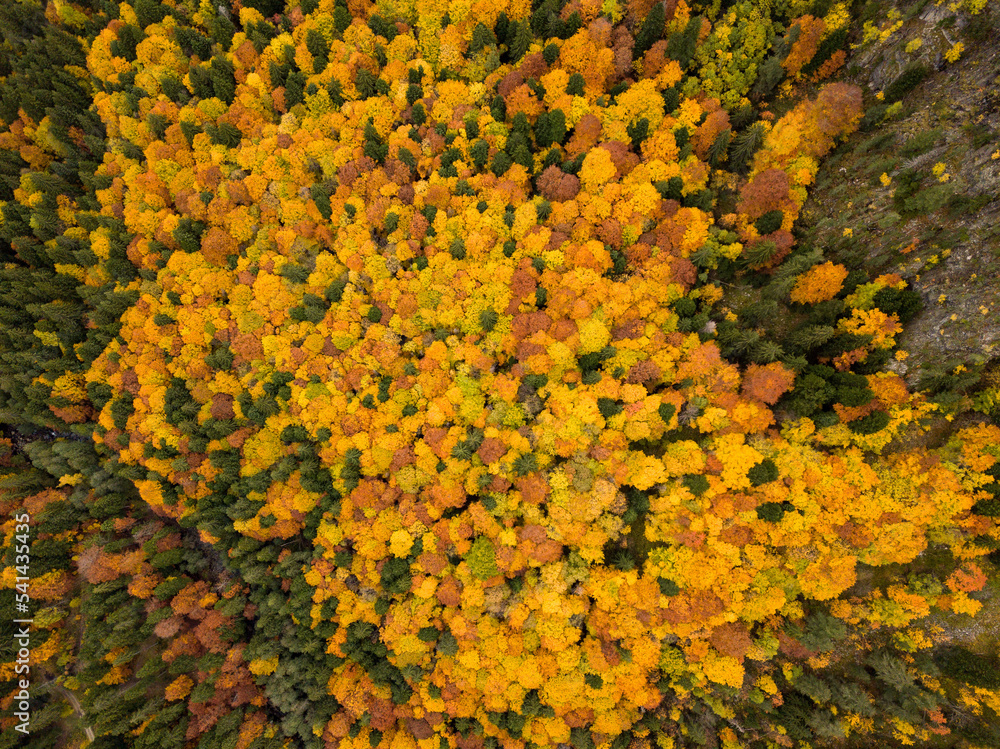 Fototapeta premium autumn landscape in the mountains, view from drone, bulgaria 