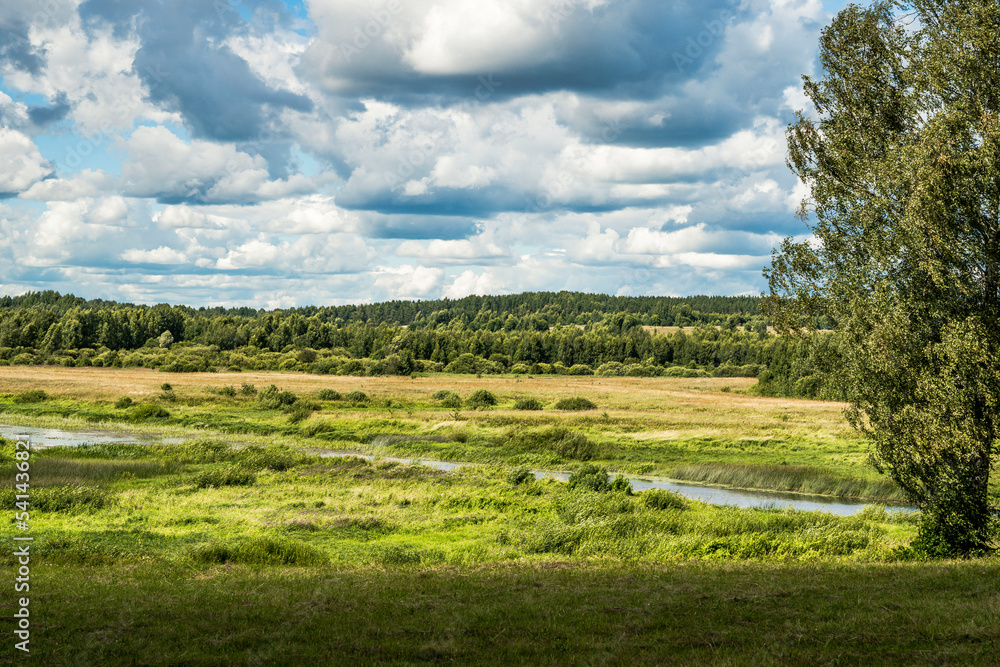 Background of a blue sky with clouds, a green field, river and forest