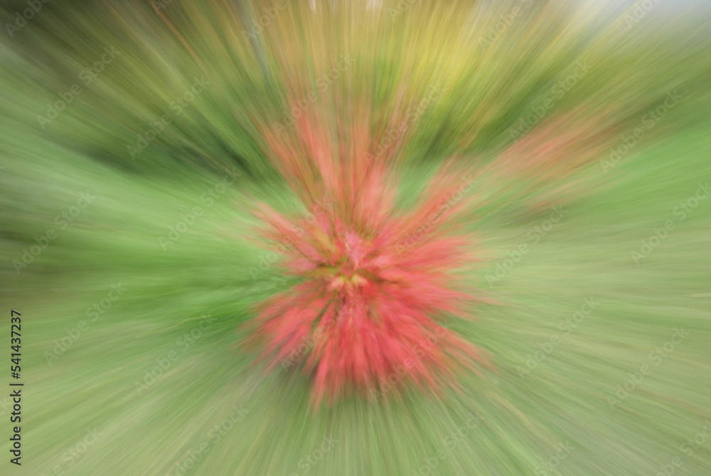 Obraz premium Abstract blurred red green background