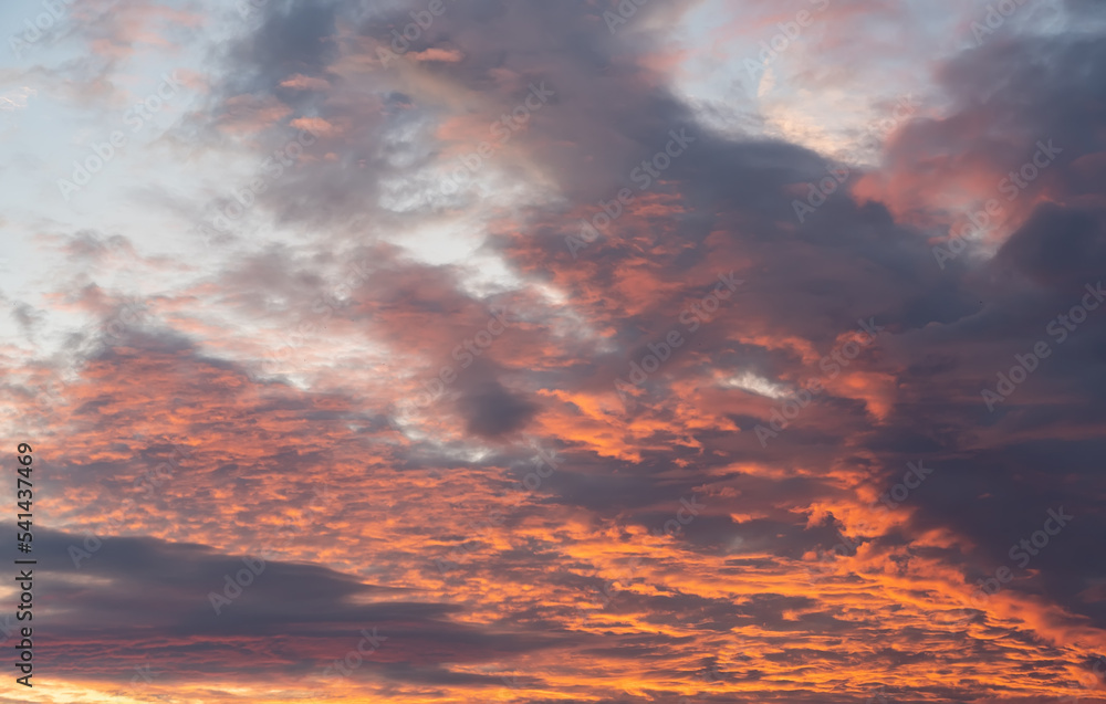Purple sunset sky clouds with majestic orange sunlight twilight in evening, majestic ​sky vertical.