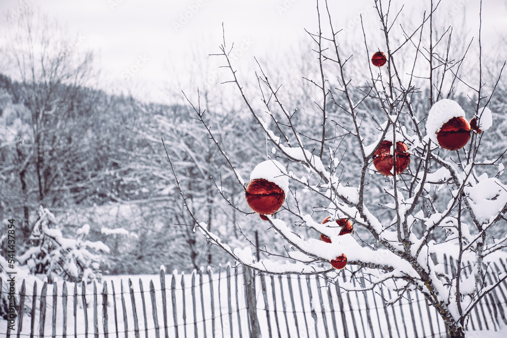 Weihnachtskugeln im Schnee, Weihnachten draußen mit Weihnachtskugeln im