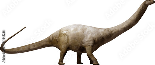 Brontosaurus on transparent background photo