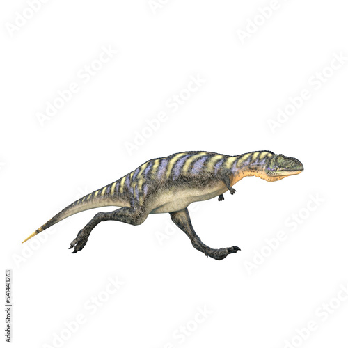 Aucasaurus dinosaur running. 3D illustration isolated on transparent background. © IG Digital Arts