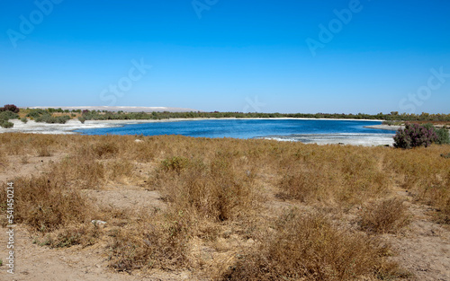 Salt lake surrounded by stale grass. Uzbekistan