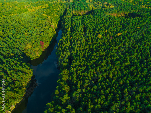 A view from the air on huge areas of the forest. Forest landscape concept, big forest. Environmental protection, care for nature.