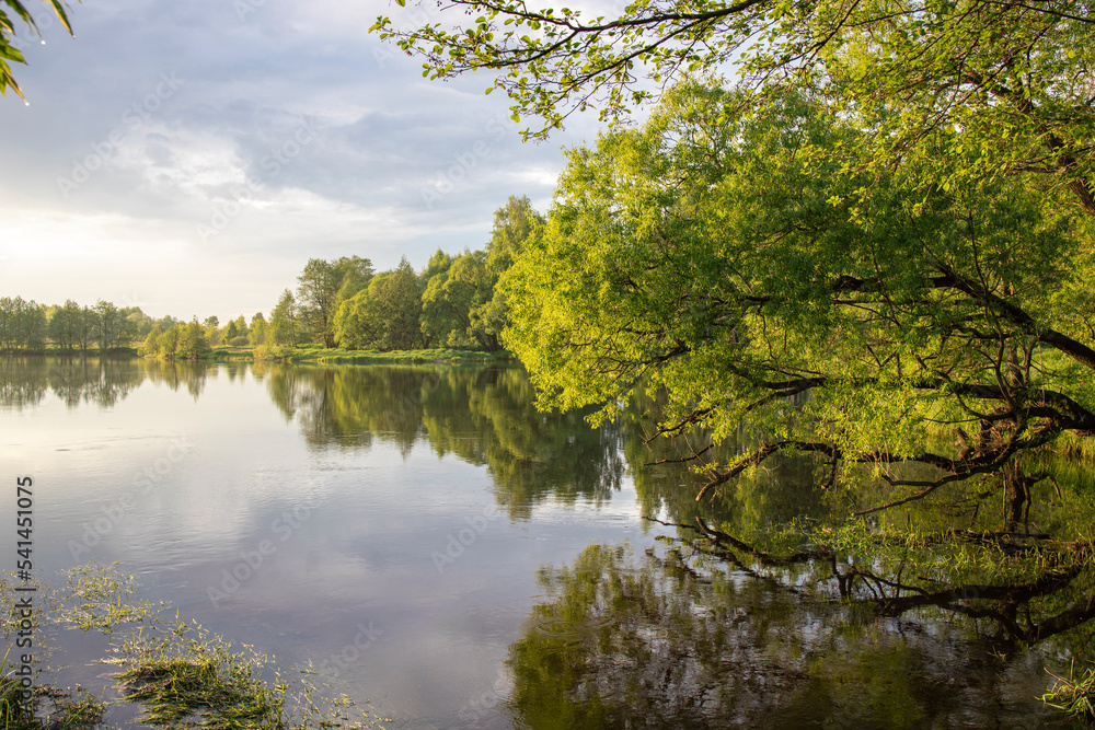 Dawn on the river. the sun's rays illuminate the trees and the pond in the early morning.