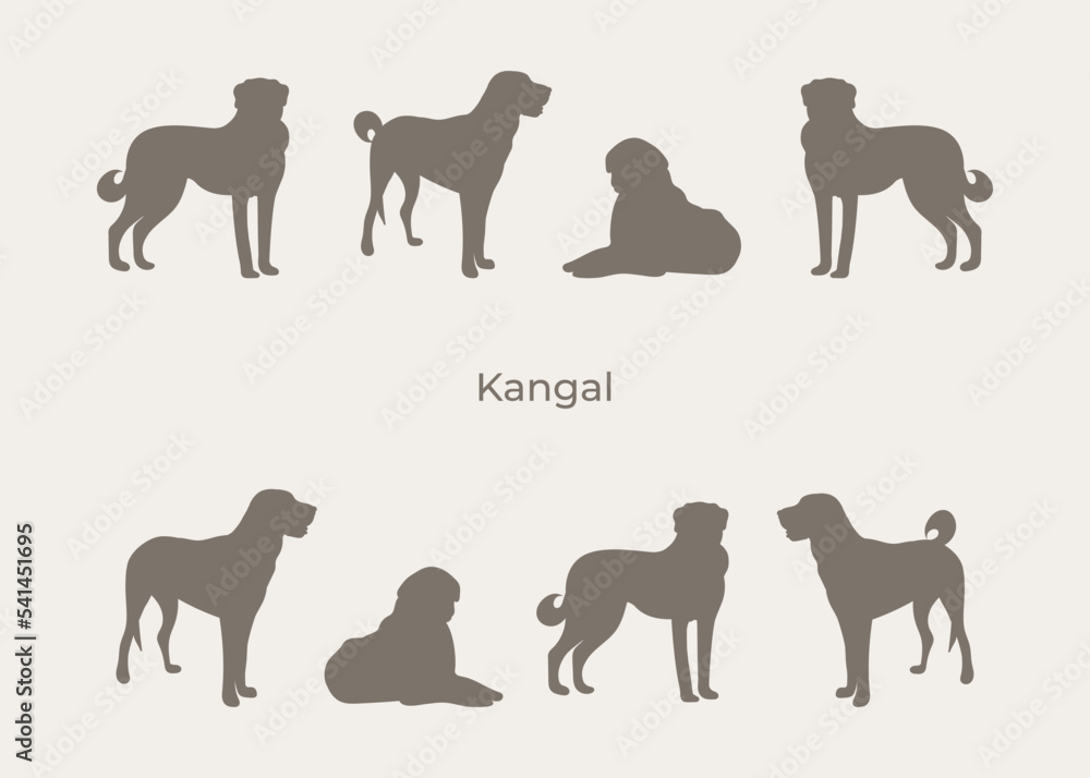 Kangal Shepherd silhouettes. Cute kangal dogs characters in various poses, design for print, cute cartoon vector set, in different poses. One color design. Big large dog.
