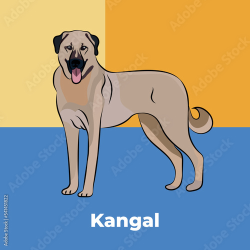 Greeting card with a staying Kangal shepherd breed dog. Colorful dog art. The postcard is for dog lovers. Pet character postcard art. Funny dog mascot, detailed dull gold pet illustration. Pale color.