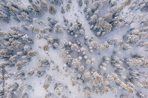 Aerial view a forest in Finnish Lapland near Rovaniemi. Typical finnish winter scenery. © e_polischuk