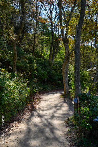 六甲高山植物園 © Dorakichi Photo