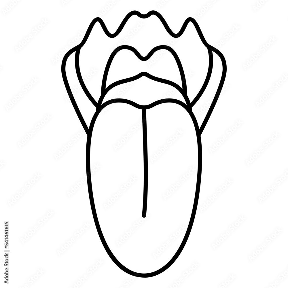 The human tongue Concept, dorsum and throat view vector outline icon