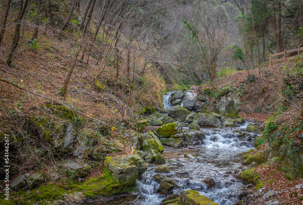 The Roggia of Calavino, naturalistic path that from the locality The Roggia of Calavino, naturalistic path that from the locality
