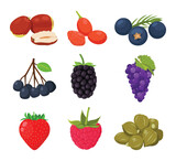 Flat vector of cute bright colors of berries fruits vector icon collections. Illustration isolated on white background 