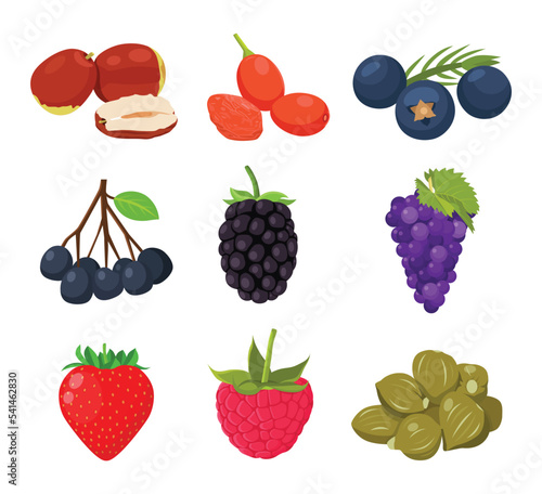 Fototapeta Naklejka Na Ścianę i Meble -  Flat vector of cute bright colors of berries fruits vector icon collections. Illustration isolated on white background 