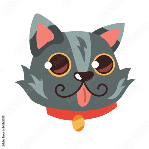 head gray cat