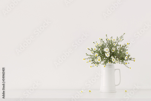 Fototapete white flowers in white ceramic vase in white interior
