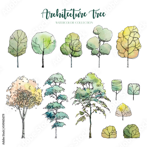Architecture Tree Watercolor Collection 2