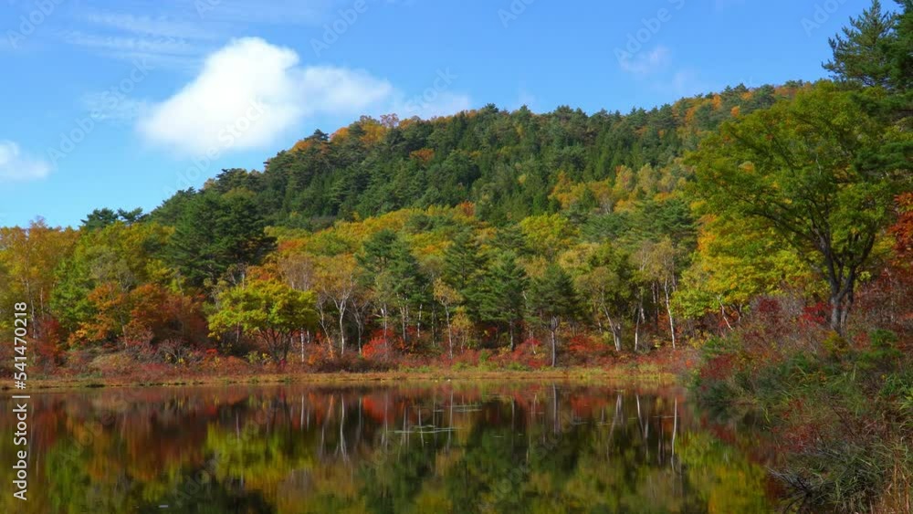 秋の志賀高原 一沼の紅葉 秋の志賀高原 一沼の紅葉