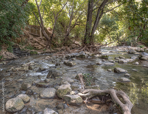 View of the Water-Walking segment of Snir (Hatsbani) Stream, Snir Stream Nature Reserve, kibbutz HaGoshrim, Kiryat Shemona, HaHula Valley, Upper Galilee, Northern Israel, Israel photo