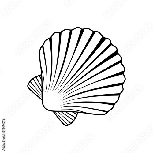 Scallop Seashell hand drawn. Ocean Mollusk Sea Shell on white background. Linear sea shell minimal design. vector eps 10