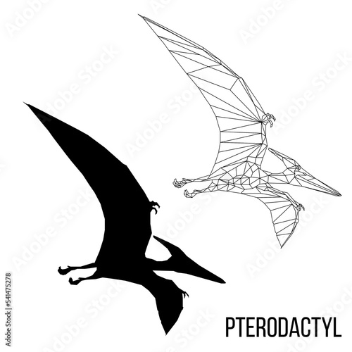 Abstract geometric triangle polygonal dino pterodactyl silhouette isolated on white background photo