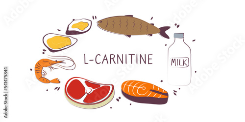 L-carnitine-containing food. Groups of healthy products containing vitamins and minerals. Set of fruits, vegetables, meats, fish and dairy