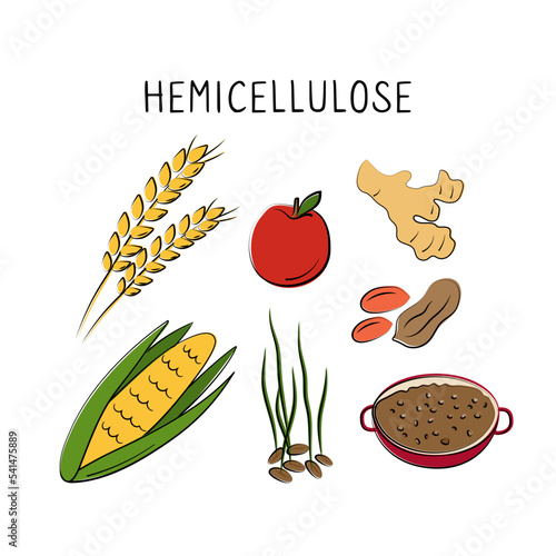 Hemicellulose-containing food. Groups of healthy products containing vitamins and minerals. Set of fruits, vegetables, meats, fish and dairy.