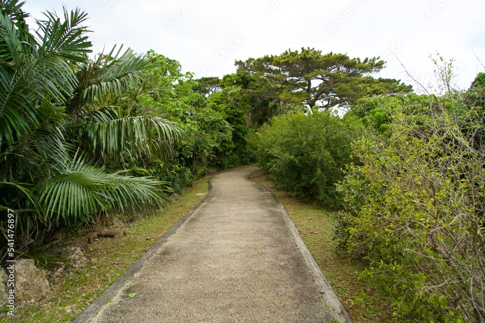 The path around the park at Miyakojima Botanical Garden