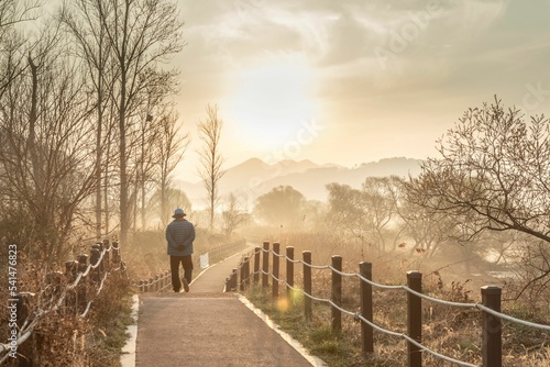 Person walking on a pathway through a foggy park