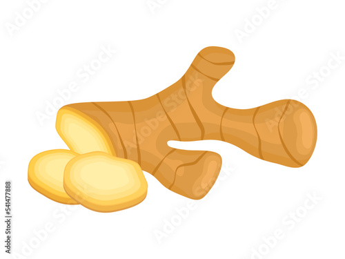 Fresh ginger root whole and sliced icon vector. Ginger root icon vector isolated on a white background. Healthy spice plant drawing