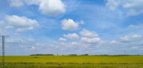 Beautiful cloudy landscape over a field with green grass and power lines