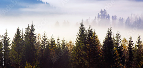 Carpathian mountain sunny landscape © Pakhnyushchyy