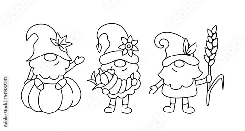 Cute autumn gnomes. Thanksgiving day characters. Doodle style. Outline vector illustration.