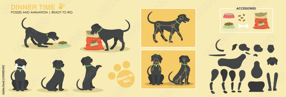 Dog character ready to rig for animation. Vector assets. Black Labrador dog eating dog food with accessories and additional poses. Collection, set. 