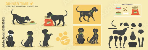 Dog character ready to rig for animation. Vector assets. Black Labrador dog eating dog food with accessories and additional poses. Collection, set. 