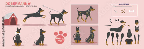Foto Doberman dog vector illustration ready to rig for animation