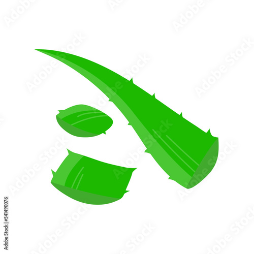 Aloe vera medicinal green leaf. Cut pieces of leaves. Treatment plant. Flora and botany. Flat vector illustration isolated on white background