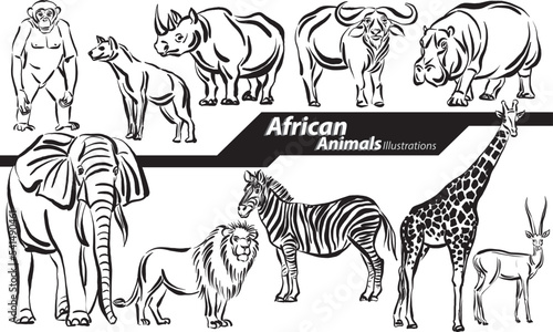 african animals wildlife design freehand doodle set collection vector illustration