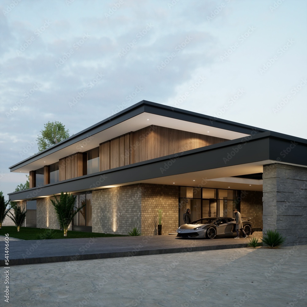 Fototapeta premium 3D Modern House Design