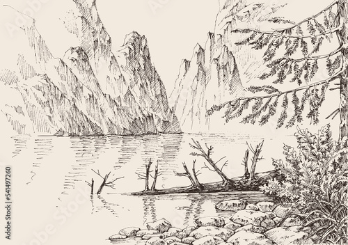Mountain landscape pine trees forest, river flowing through rocky mountains