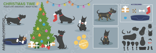 Cute Christmas scene with vector dog broken down ready to animate. Scottie dog, Scottish Terrier rig ready with Christmas accessories and scene. A collection of poses. 