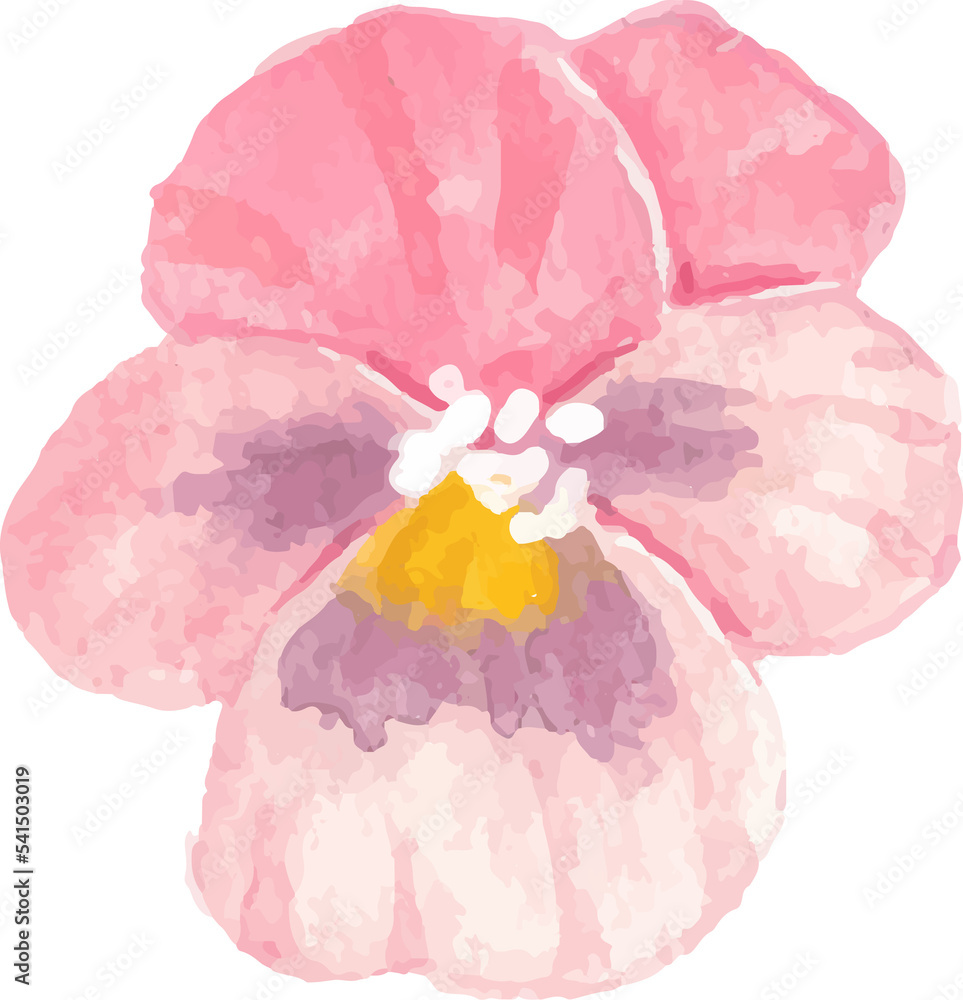 watercolor pansy flower element watercolor pansy flower element