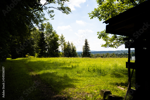 Wald-Szenerie