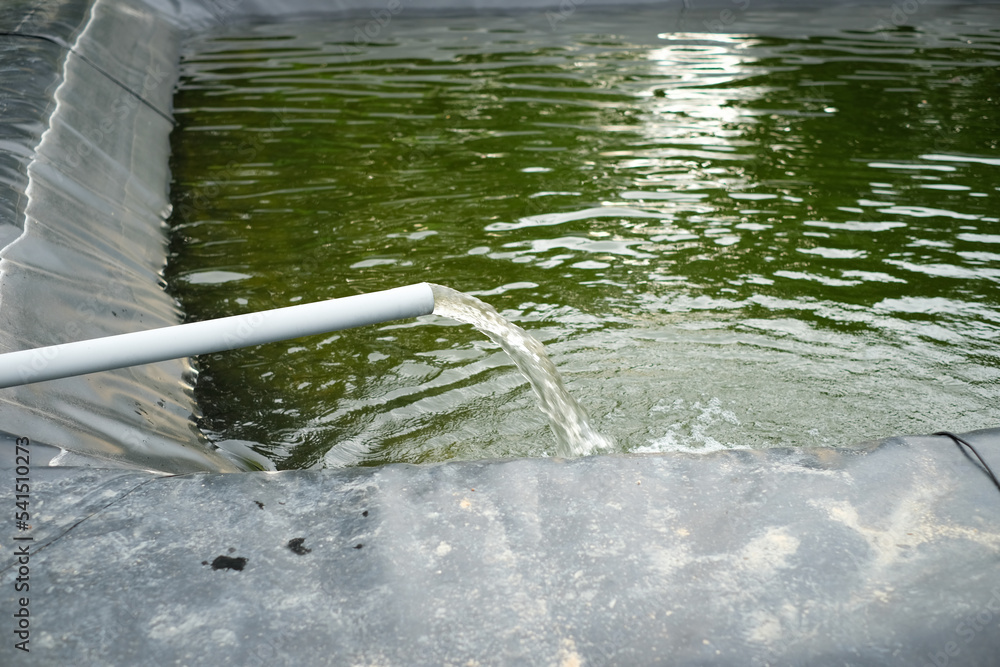 Adding water to a canvas pond in a durian plantation in Thailand