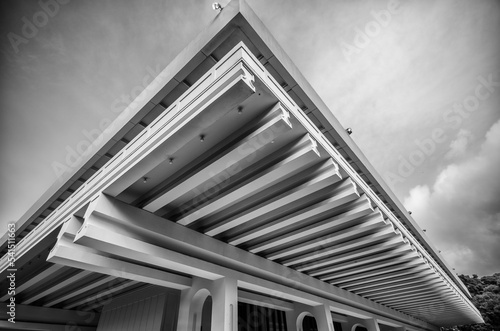 Sideview of a Building Roofline in Back and White.