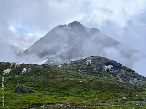 Mountain landscape