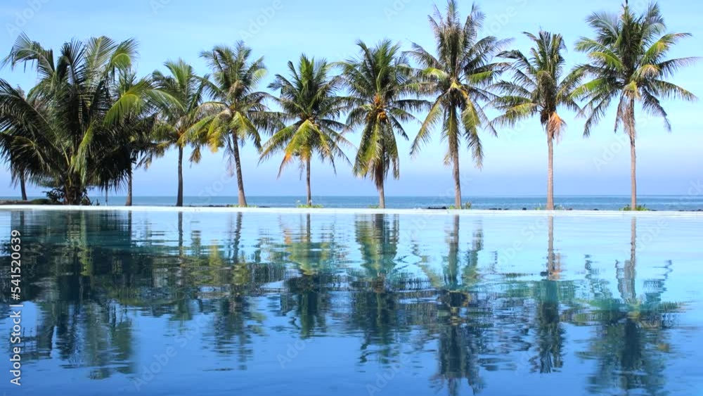 Vue sur la mer et 9 palmiers depuis une piscine Vue sur la mer et 9 palmiers depuis une piscine