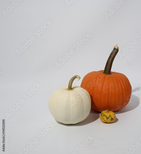 Fall Pumpkins on White Background