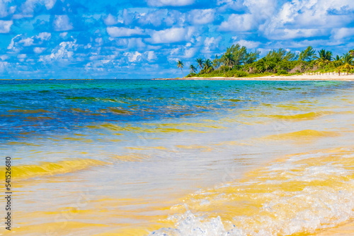 Fototapeta Naklejka Na Ścianę i Meble -  Tropical mexican beach clear turquoise water Playa del Carmen Mexico.